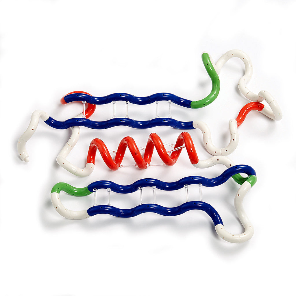 Tangle? Protein Building Set - Image 4