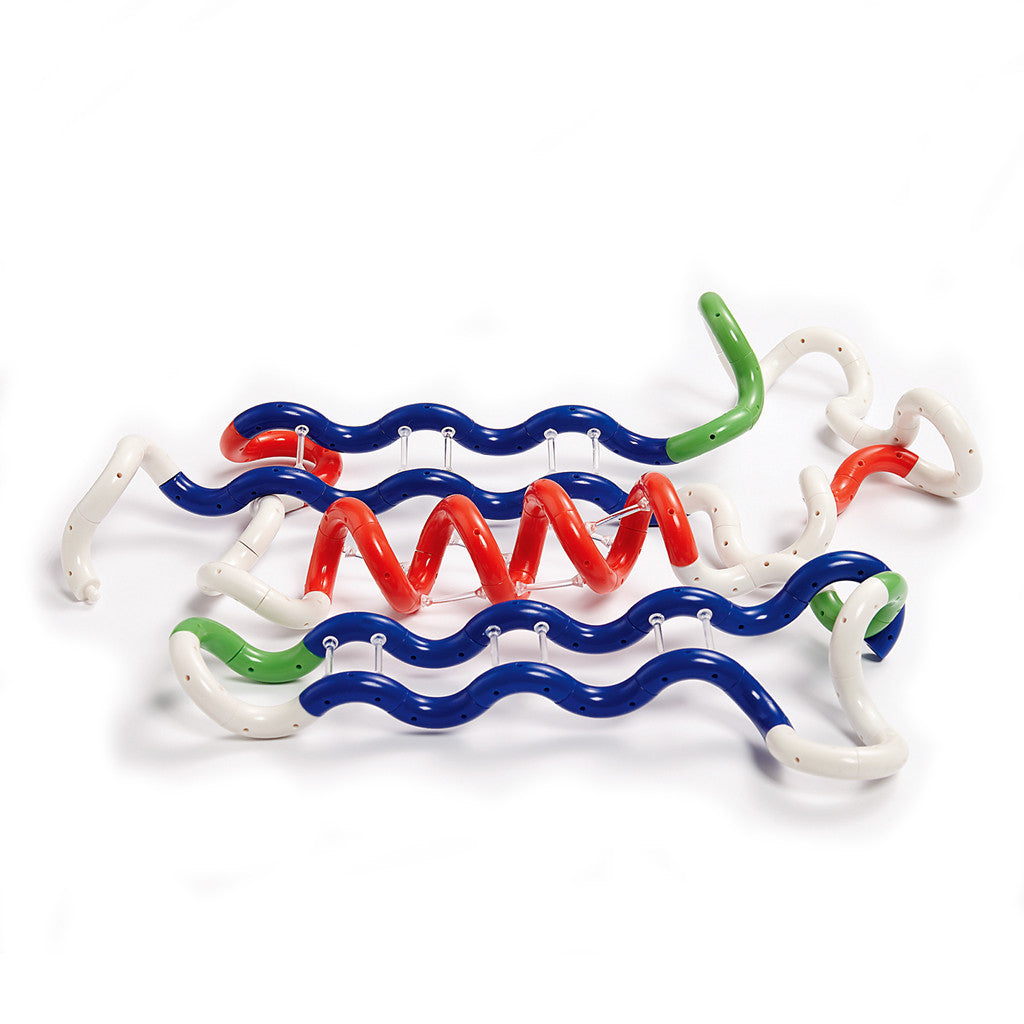 Tangle? Protein Building Set - Image 5